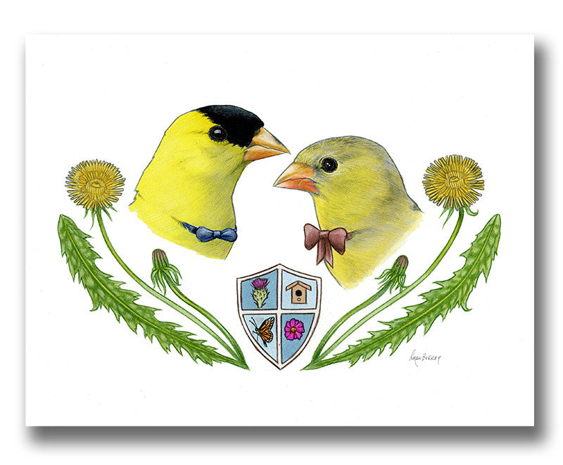Goldfinch Bird Couple Goldfinch Bird Couple