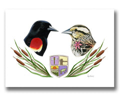 Red-Winged Blackbird Bird Couple