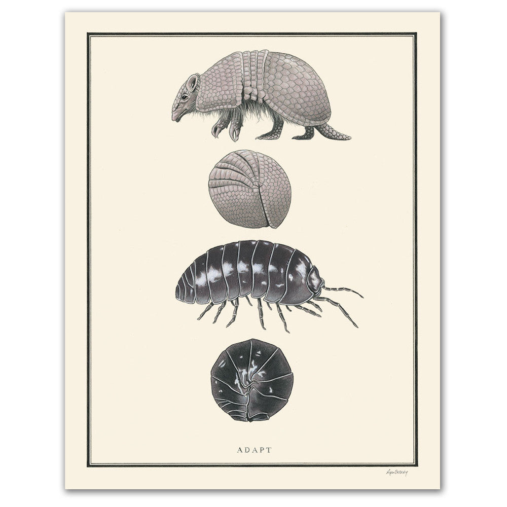 Adapt - Natural Values Print Adapt - Natural Values Print