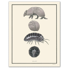 Adapt - Natural Values Print