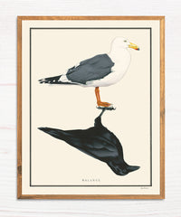 Balance - Natural Values Print