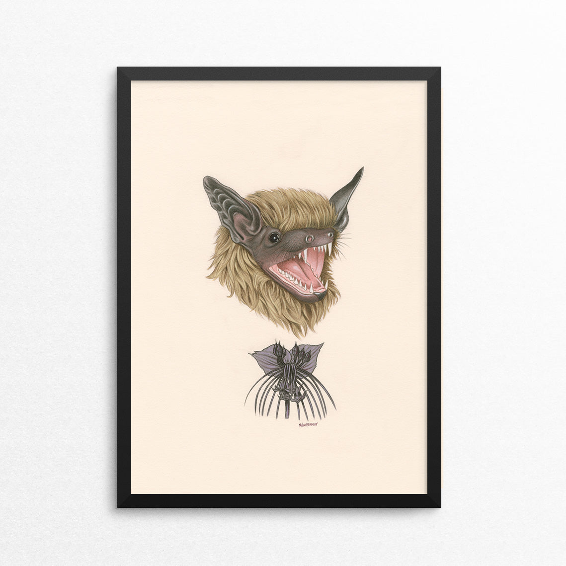 Bat / Black Bat Flower - Naked Animals Print Bat / Black Bat Flower - Naked Animals Print