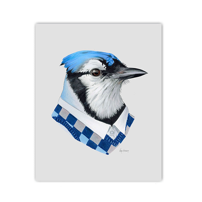 Blue Jay Art Print Blue Jay Art Print