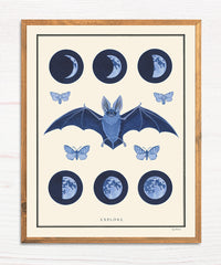 Explore - Natural Values Print