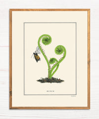 Renew - Natural Values Print