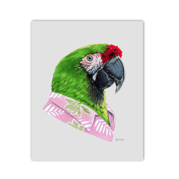 Parrot art print - Military Macaw