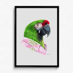 Parrot art print - Military Macaw