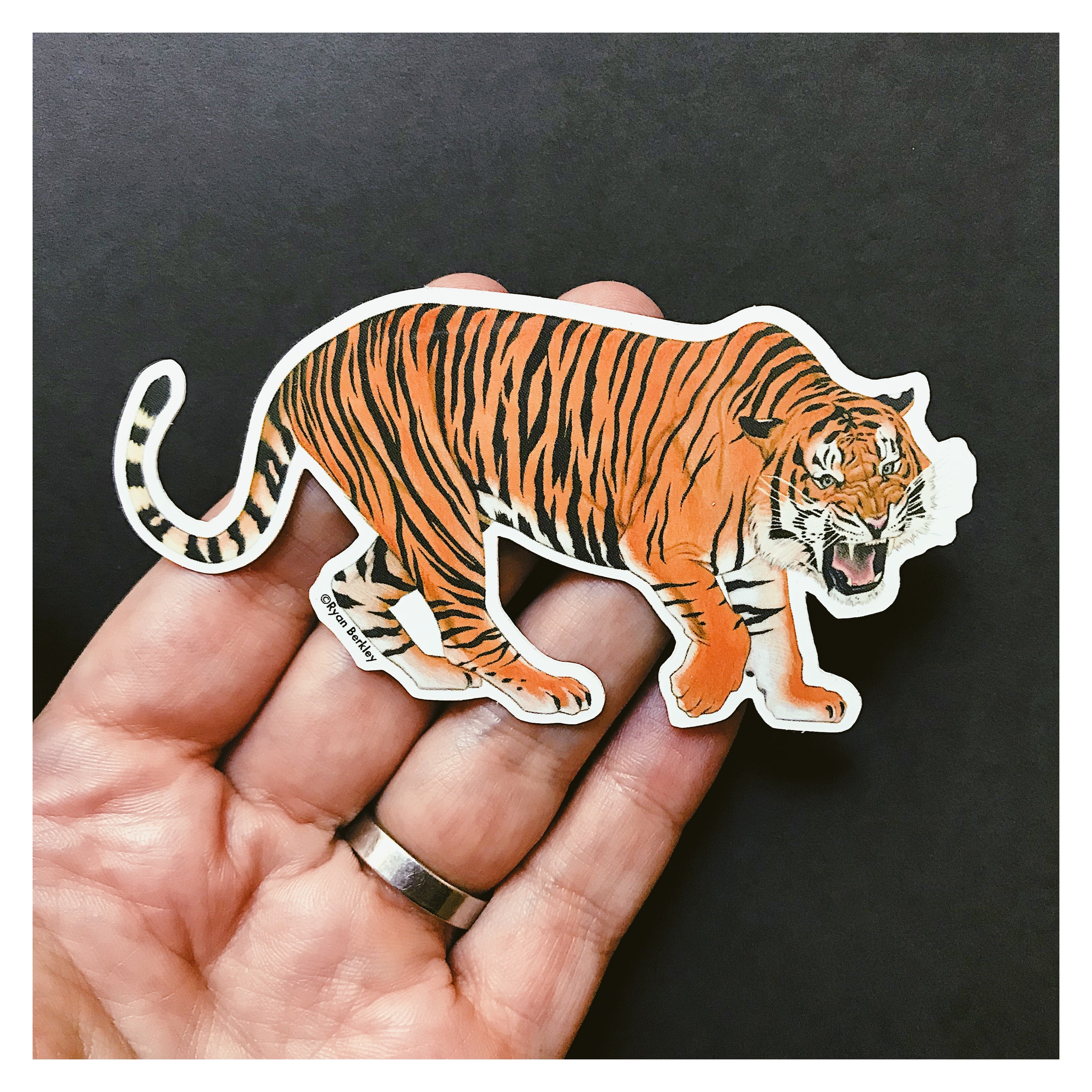 Vinyl Sticker - Tiger