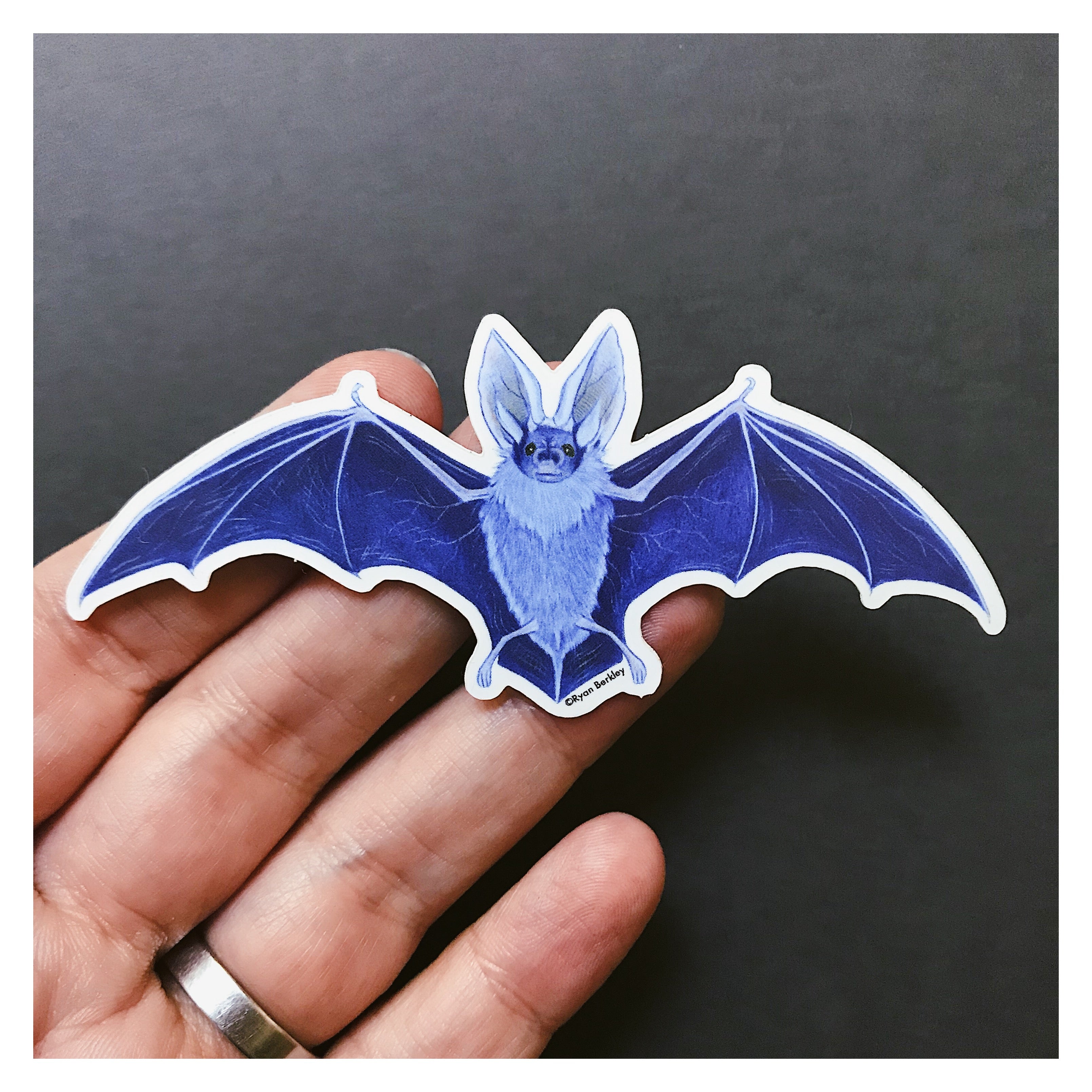 Vinyl Sticker - Bat