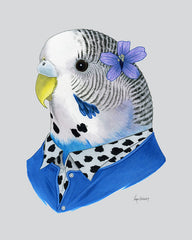 Parakeet Art Print