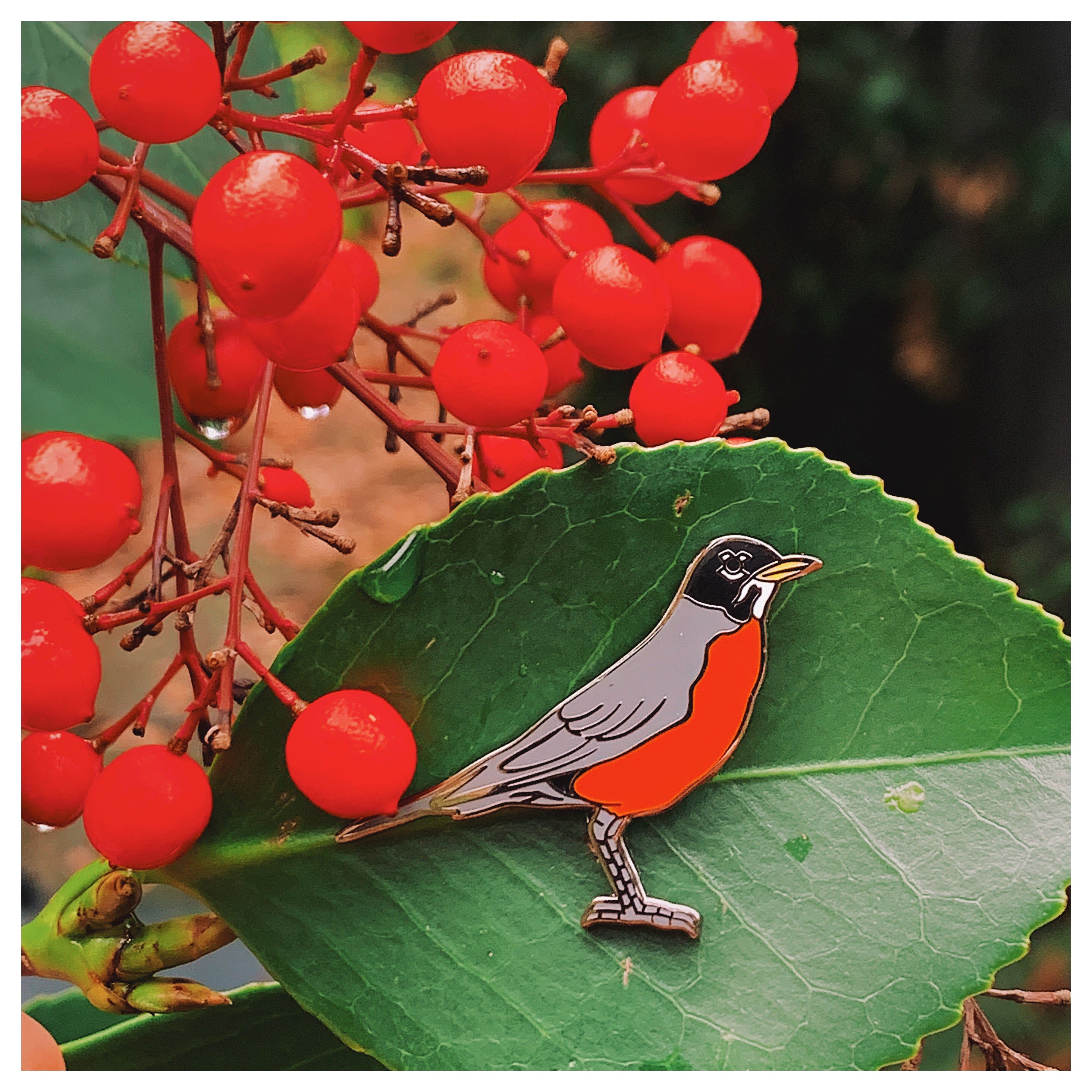 Enamel Pin - Robin - Natural Values – Berkley Illustration