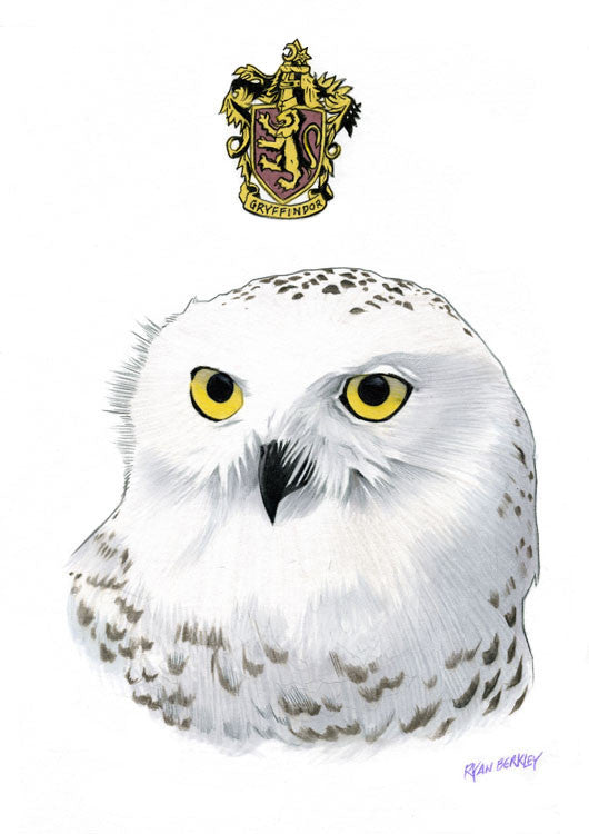 Hedwig the owl drawing – www.libraryarts.com
