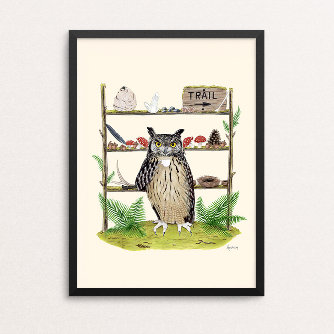 Owl Collector - The Enthusiasts Print