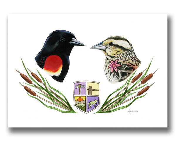 Red-Winged Blackbird Bird Couple