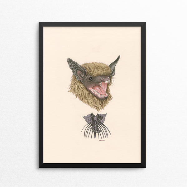 Bat / Black Bat Flower - Naked Animals Print