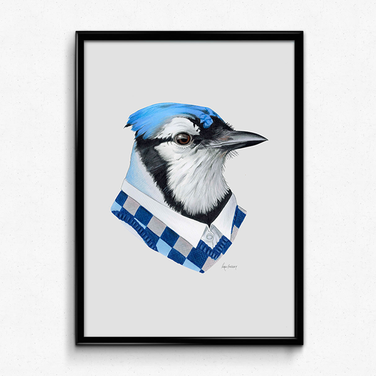 Blue Jay Art Print – Berkley Illustration