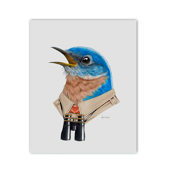Eastern Bluebird Art Print