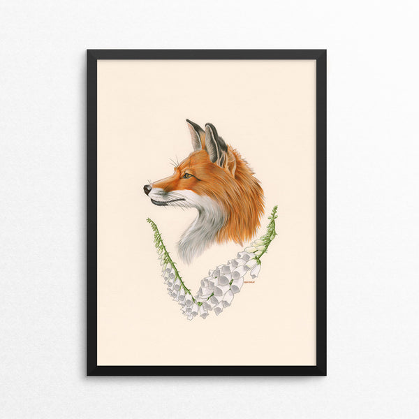 Fox / Foxglove - Naked Animals Print