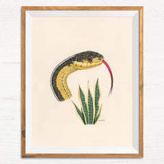 Snake / Snake Plant - Naked Animals Print