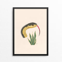 Snake / Snake Plant - Naked Animals Print