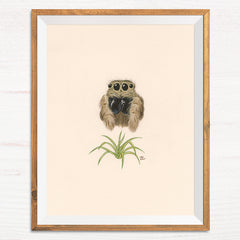Jumping Spider / Spider Plant - Naked Animals Print