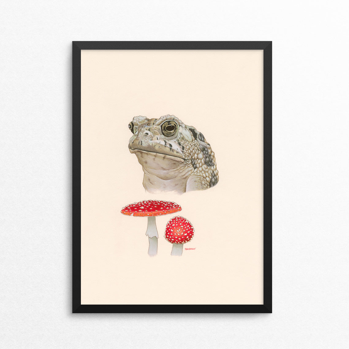 Toad / Toadstool - Naked Animals Print