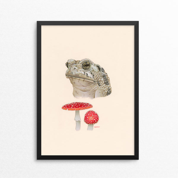 Toad / Toadstool - Naked Animals Print