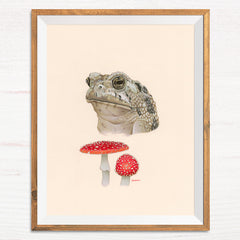 Toad / Toadstool - Naked Animals Print